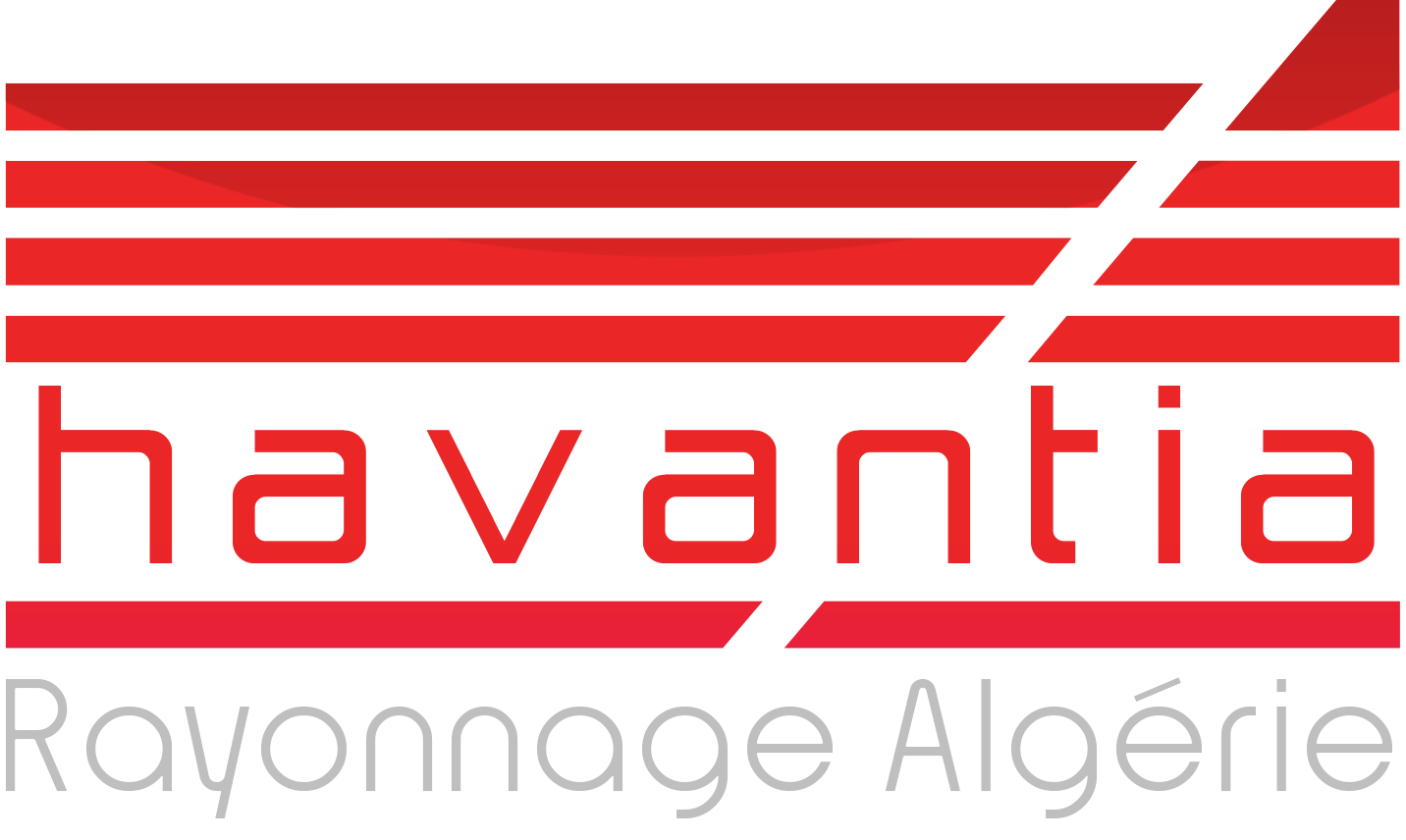Havantia - Pionnier du rayonnage industriel en Algérie | Le rayonnage industriel intelligent pour une organisation sans faille.